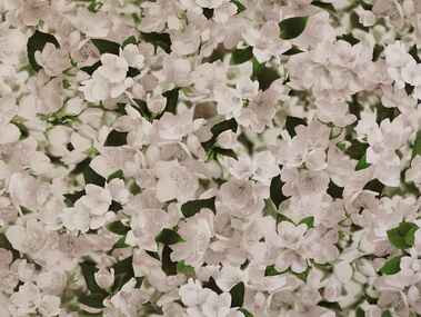 Обои флизелин 