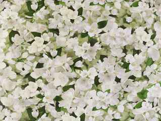 Обои флизелин 