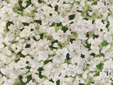 Обои флизелин Обои флизелин