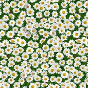 Клеенка Florista 1765-00