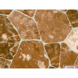 Пленка самоклеящаяся 