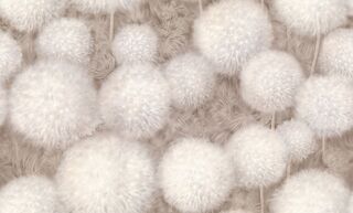 Обои Палитра Simple 72380-28 Dandelion Chiki