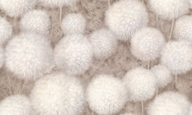 Обои Палитра Simple 72380-28 Dandelion Chiki