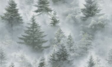 Обои Палитра Home 72551-71 Ultrachrome 3 (под заказ от 3 дней) Обои Палитра Home 72551-71 Ultrachrome 3 (под заказ от 3 дней)