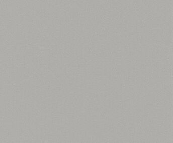 Обои Dekoron 801208B Тропики