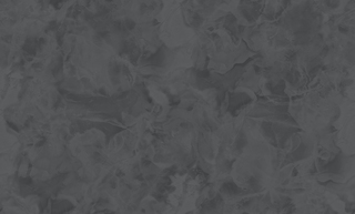 Обои Dekoron 803914B
