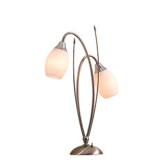 Светильник настольный Citilux CL108821 Комета