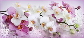 Коврик для дома Диона (60*40) Орхидея