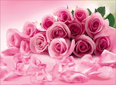 Фотообои 8 листов VIP Розовые розы оптом