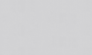 Обои флизелин 1,06