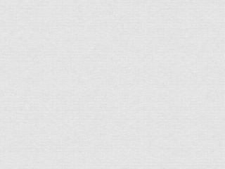 Обои флизелин вспен. 