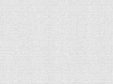 Обои флизелин вспен. 